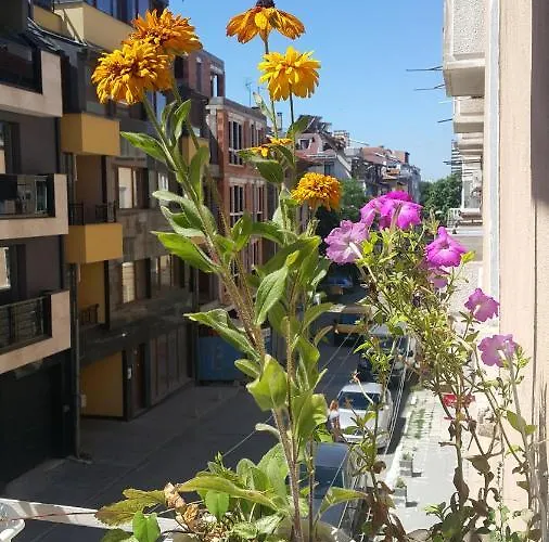 Sea Garden - First Line & Free Parking *